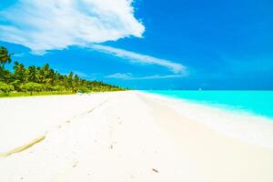 A sandy beach with white sand and palm trees photo