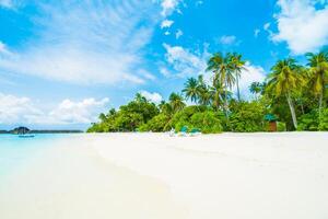 A sandy beach with palm trees and blue sky photo