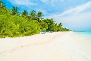 A sandy beach with palm trees and a blue sky photo