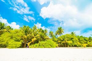 A sandy beach with palm trees and a blue sky photo