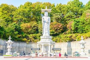 A statue of a woman in front of a large tree photo