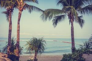 A view of the ocean from a beach with palm trees photo