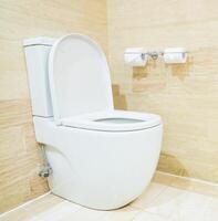 A white toilet sitting in a bathroom with a toilet paper dispenser photo