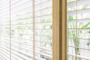 A window with blinds and a plant in the background photo