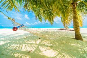 Hammock on tropical beach with palm trees photo