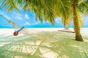 Hammock on tropical beach with palm trees photo