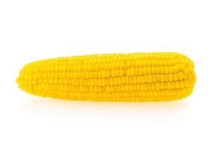 Corn on the cob photo