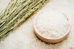 Rice and stalks of rice on white background photo