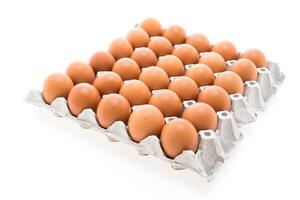 A dozen eggs in a carton on a white background photo