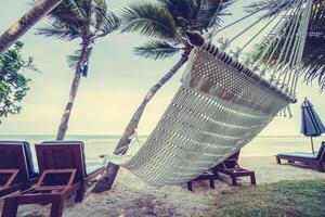 A hammock hanging between two palm trees on the beach photo