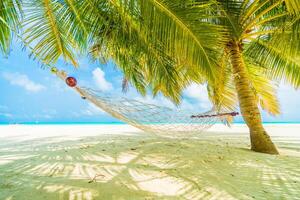 A hammock under a palm tree on a tropical beach photo