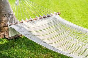 A hammock is shown in the grass photo
