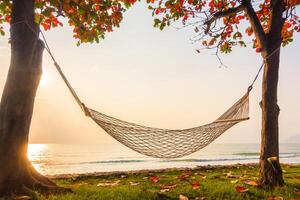 A hammock is hanging between two trees near the ocean photo