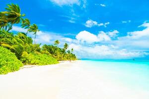 A tropical beach with palm trees and white sand photo