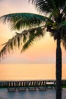 A palm tree with lounge chairs and a view of the ocean photo