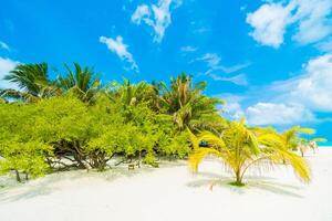 Tropical beach with palm trees and blue sky photo