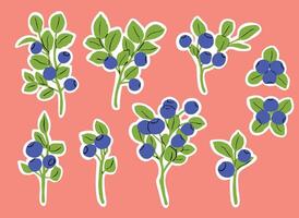 Sticker Set with Colorful Bilberry Branches Illustration on White Background vector
