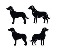 Retriever silhouette icon with a white background vector