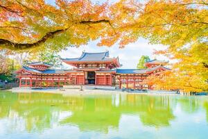Japanese pagoda in autumn with autumn leaves photo