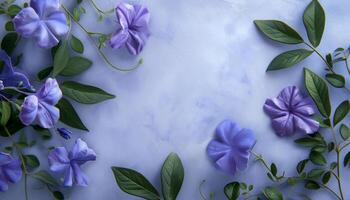 Image of periwinkle weaving with space for text photo