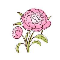 Peony spring flower in a flat style with green petals. Ideal for botanical design, wallpaper decor, textile and spring art. Isolated on white background. vector