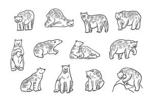 Set of hand drawn polar bear icons vector