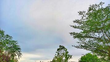 Serene landscape, Cloudy sky above lush green trees. Nature, tranquility, peace, environment concept. photo