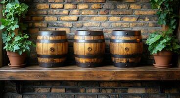 Three barrels are lined up on a shelf next to potted plants. The barrels are wooden and appear to be old. The potted plants are green and are placed on the shelf as well. The scene gives off a rustic photo
