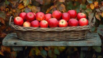 A basket of apples sits on a wooden table. The apples are red and shiny, and they are arranged in a neat row. The basket is filled with many apples, and they are all ripe and ready to eat photo