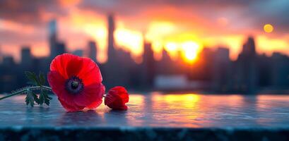 A red flower is on a ledge next to a city skyline. The flower is surrounded by water and the sky is orange and pink. Concept of peace and tranquility photo