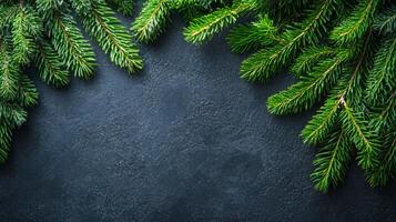 A black background with a green tree branch on it. The branch is on the left side of the image and the background is on the right side photo