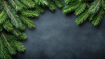 A black background with a green Christmas tree in the center. The tree is surrounded by a frame of green leaves photo