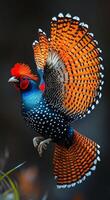 A bird with a red head and orange feathers is flying. The bird has a lot of spots and is in the air photo