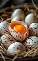 A basket of eggs with one egg missing. The eggs are speckled and the one that is missing is yellow photo