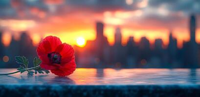 A red flower is on a table in front of a city skyline. The flower is surrounded by a blue and white background. Concept of peace and tranquility, as the flower stands out against the urban landscape photo