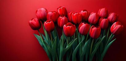 Bright red tulips arranged on a vibrant background. Fresh red tulips with green stems are artistically arranged against a striking red backdrop, creating a lively display. photo