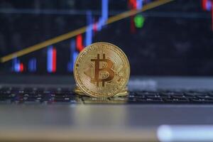 A single physical golden bitcoin in front of a screen of stock or cryptocurrency market candles or charts or graphs with a laptop photo
