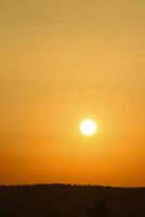 A red sunset. The setting sun over the forest in summer. photo
