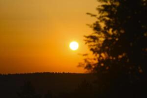 A red sunset on a tree background. The setting sun over the forest in summer. photo