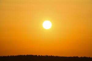 A red sunset. The setting sun over the forest in summer. photo
