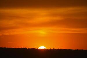 A red sunset. The setting sun over the forest in summer. photo