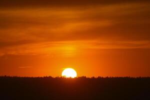 A red sunset. The setting sun over the forest in summer. photo