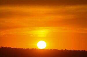 A red sunset. The setting sun over the forest in summer. photo