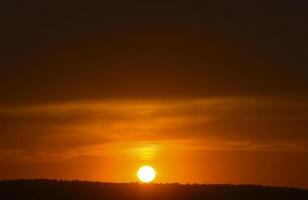 A red sunset. The setting sun over the forest in summer. photo
