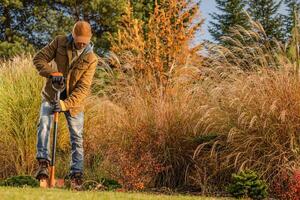 Gardener Planting in a Lush Landscape During Autumn With Vibrant Foliage in the Background photo