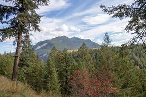 Forest and mountain view landscape photo