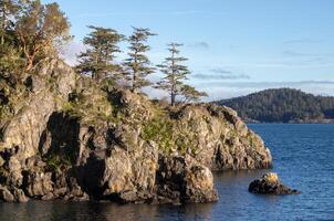 Rugged terrain and trees line the coast on Vancouver Island photo