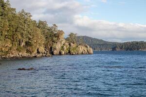 Rocks and trees on the rugged coast of Vancouver Island photo