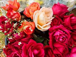 A bunch of red roses photo