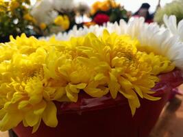 A red bucket with yellow flowers in it photo
